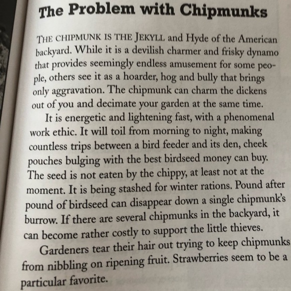 “Squirrel Wars: backyard wildlife battles and how to win them” illustrated book - Picture 6 of 12